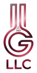 LLG 369 LLC